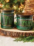 Photograph 5 of Balsam Fir Bowl, 14 oz