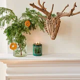 Photograph 4 of Balsam Fir Large Jar, 21.25 oz