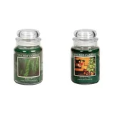 Photograph 1 of Christmas Tree Large Jar, 26 oz