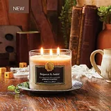 Photograph 3 of Bergamot & Amber Bowl, 14 oz