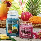 Photograph 2 of Palm Beach Medium Jar, 16 oz